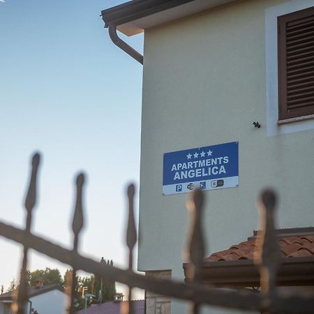 Apartments Angelica 1 Novigrad Istria Εξωτερικό φωτογραφία